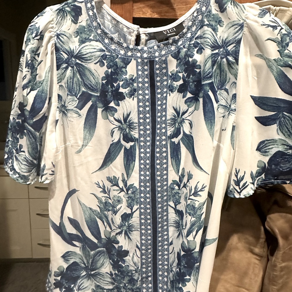 Beautiful sheer vici blouse like new